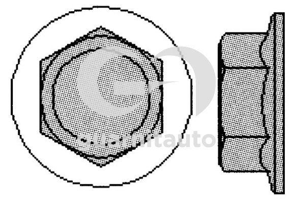 GUARNITAUTO Hengerfej csavar 701005-1022_GUA